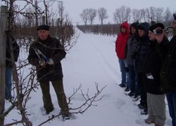 Обрізку демонструє Януш Габрисяк